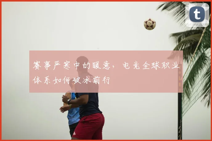赛事严寒中的暖意,电竞全球职业体系如何破冰前行