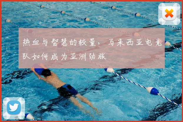 热血与智慧的较量，马来西亚电竞队如何成为亚洲劲旅