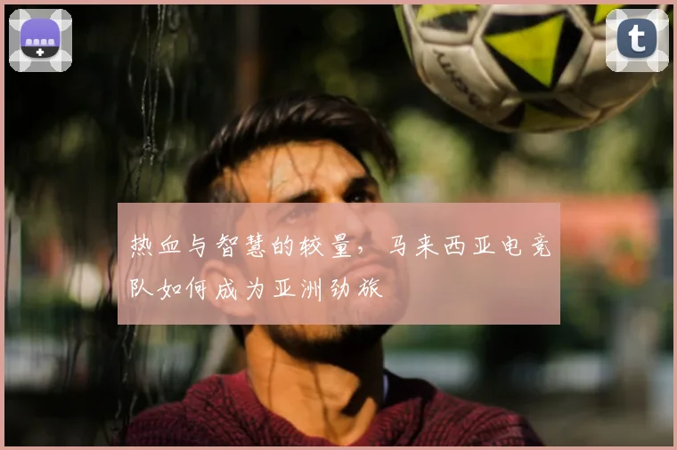 热血与智慧的较量,马来西亚电竞队如何成为亚洲劲旅