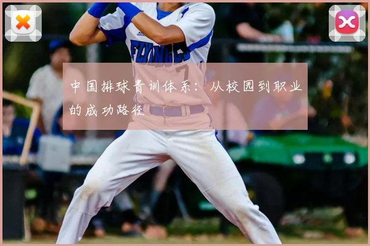 中国排球青训体系：从校园到职业的成功路径